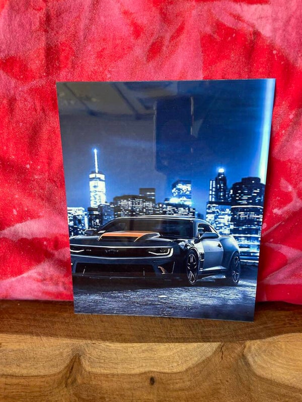 Camero 8x10 metal print