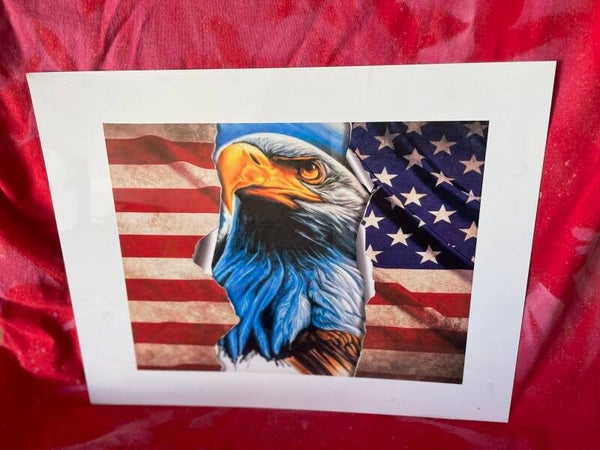 Flag w/ Eagle 8x10 metal Print