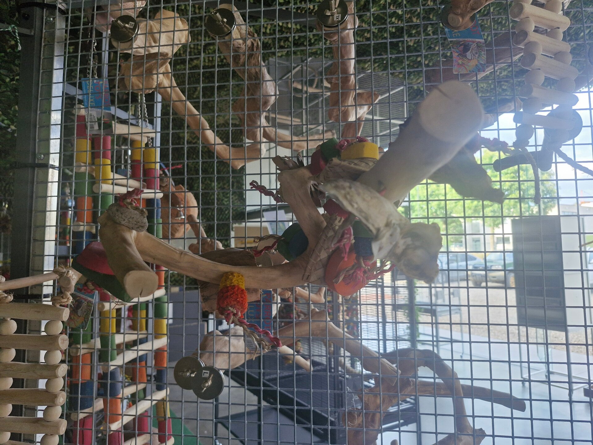 Multi perch with toy