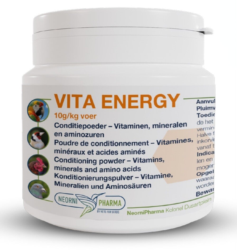 VITA ENERGY
