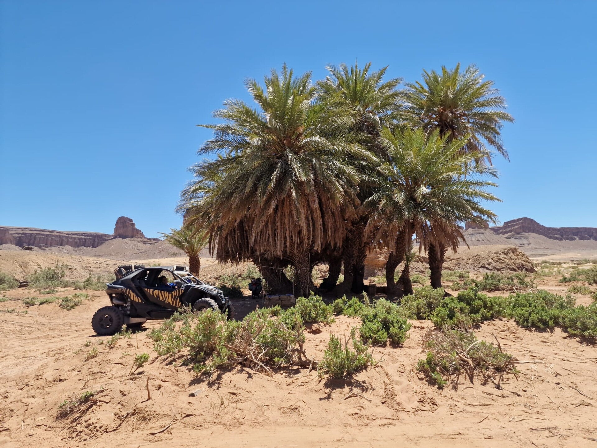 Nos guides sauront vous mettre en confiance pour découvrir l'atlas et marrakech