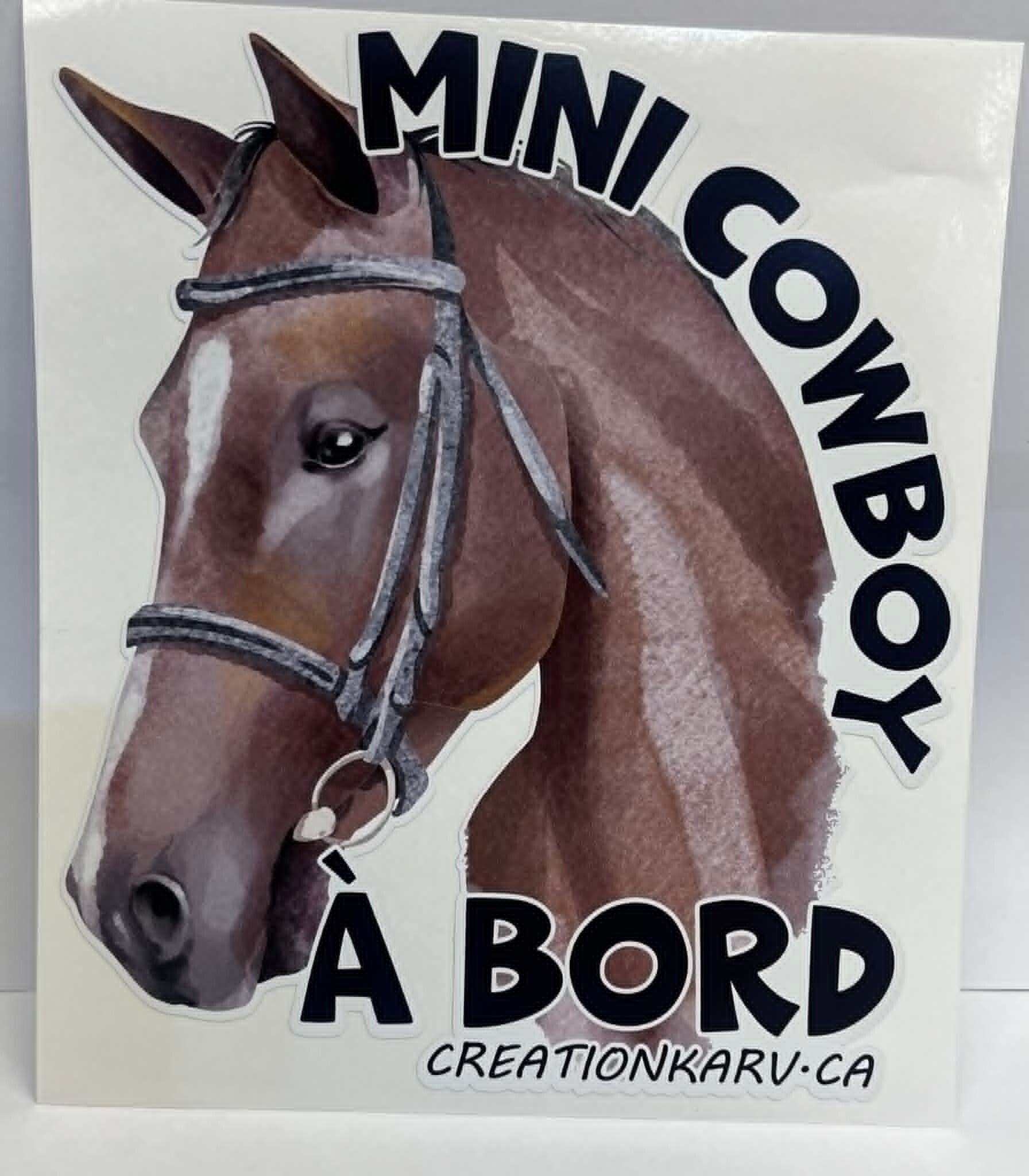 Mini cowboy à bord