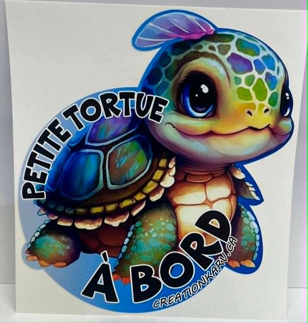 Petite tortue à bord