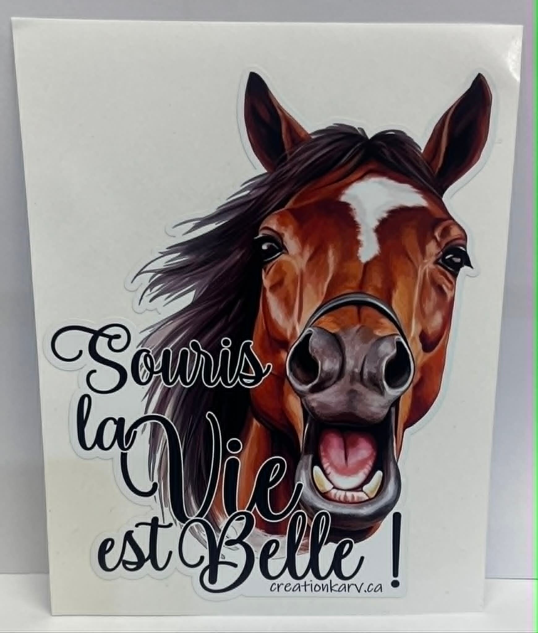 Souris la vie est belle ! (cheval)