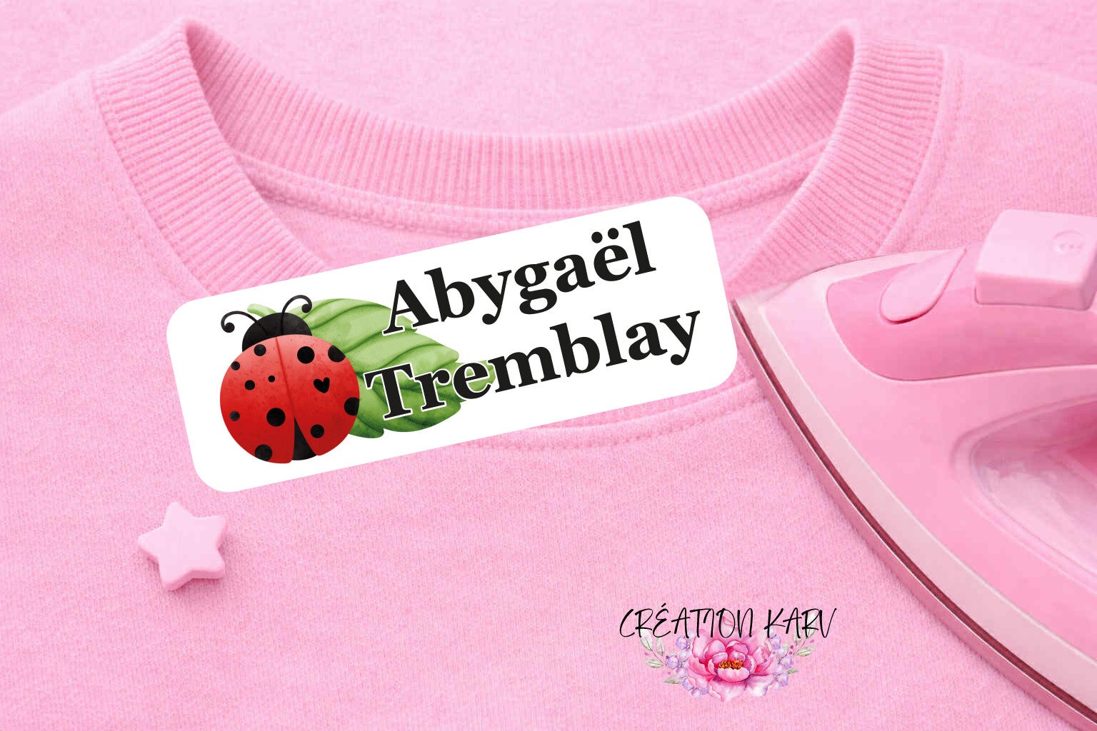 Coccinelles