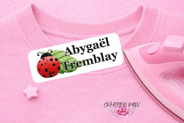 Coccinelles