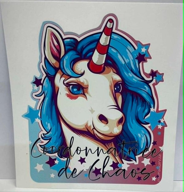 Coordonnatrice de chaos