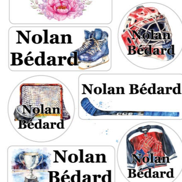 Hockey / 252 autocollants