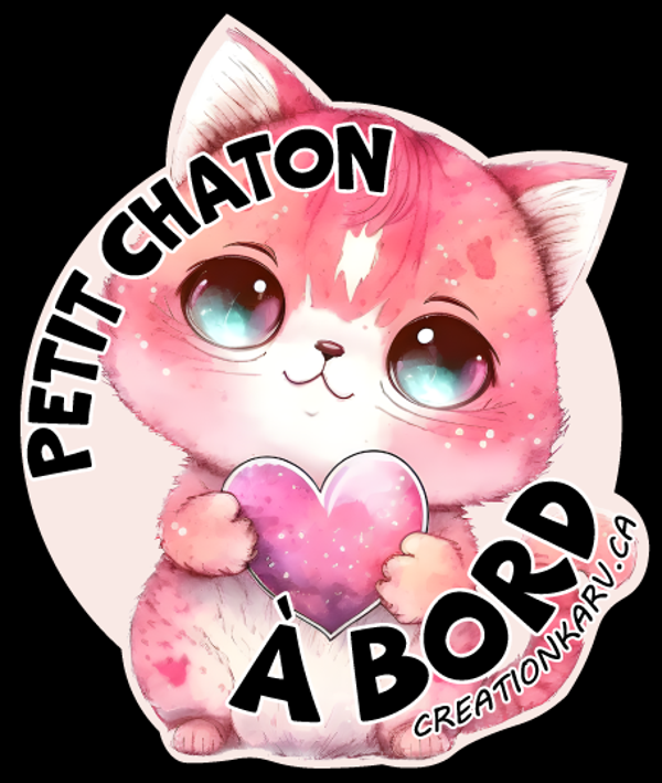 Petit chaton à bord