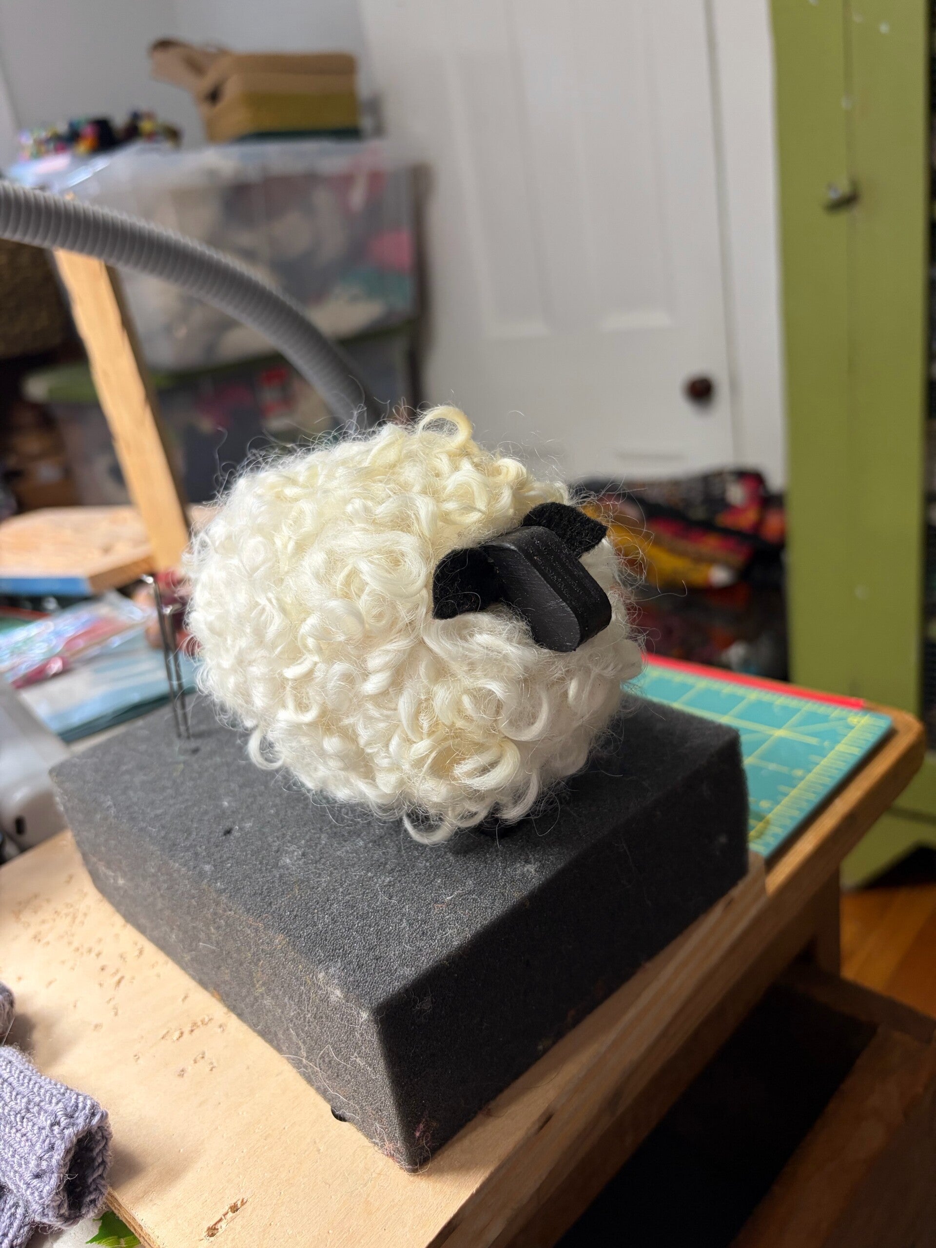 Sheep Curly