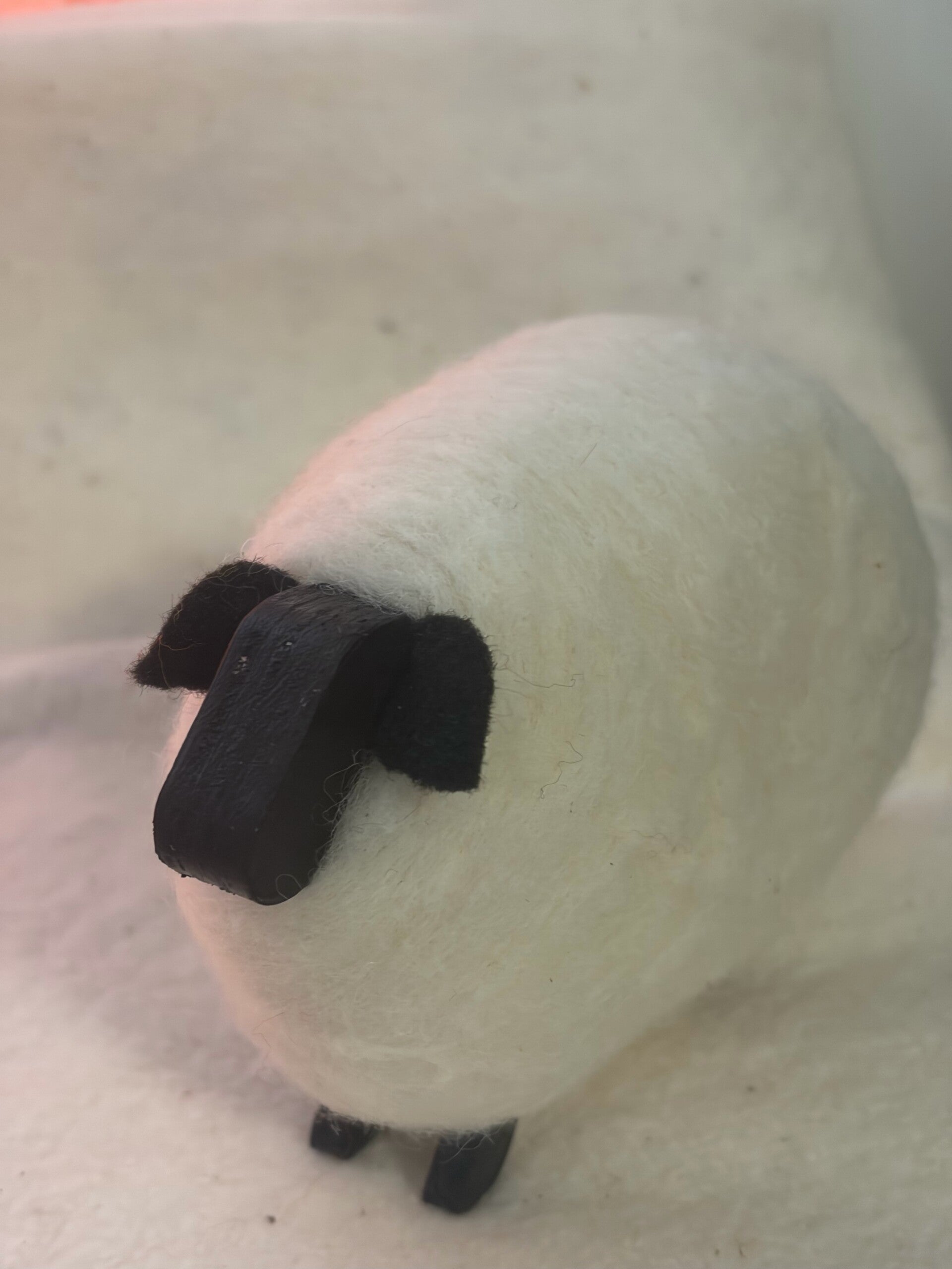 sheep smooth