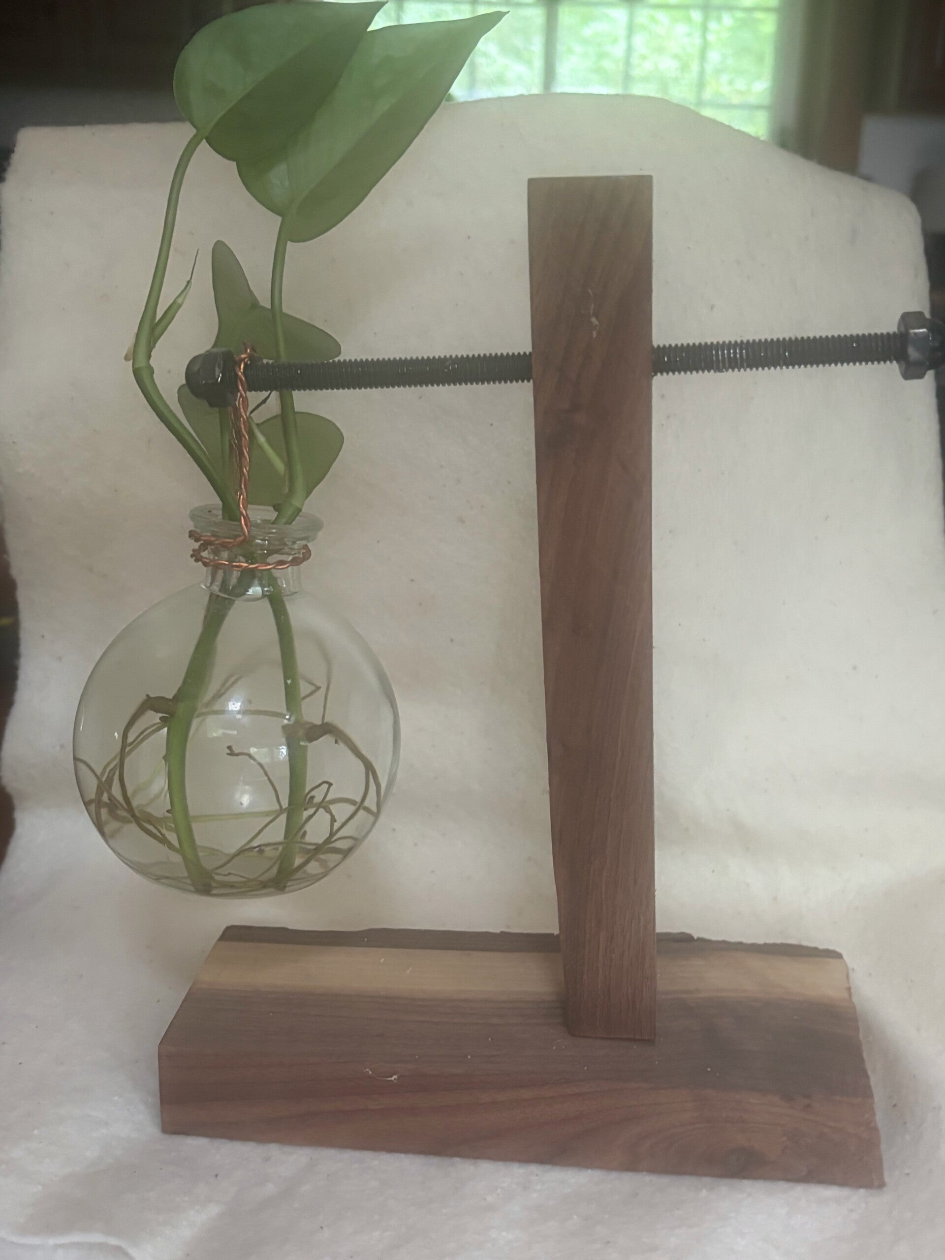 Plant starter stand