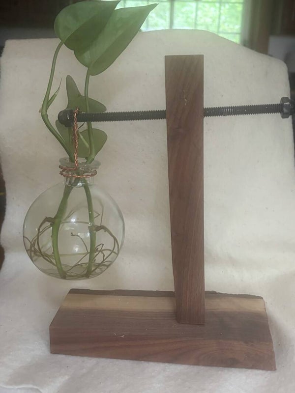 Plant starter stand