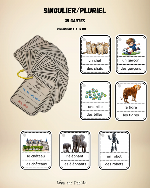 Singulier pluriel pdf