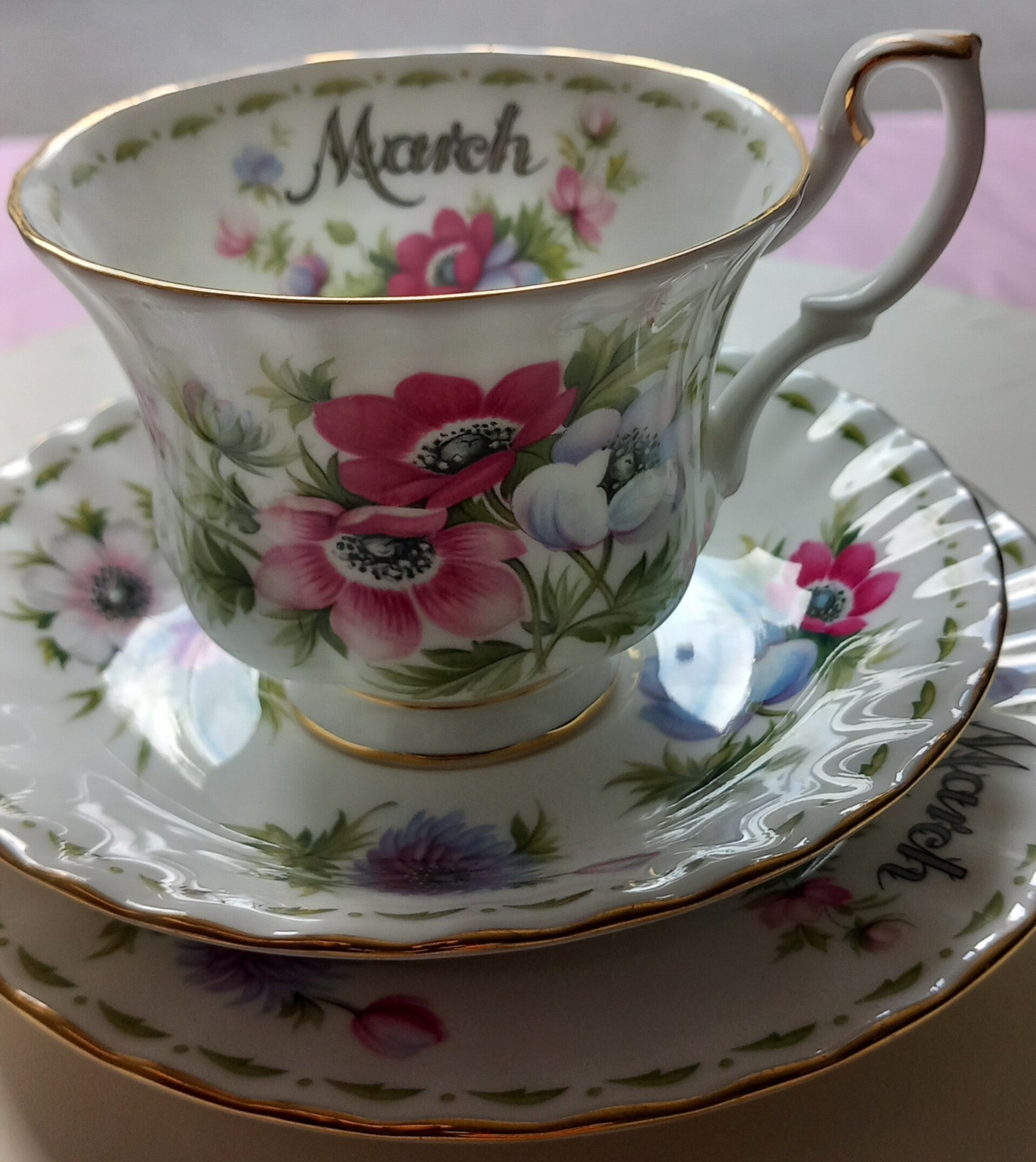 Flower of the Month Anemones Maart