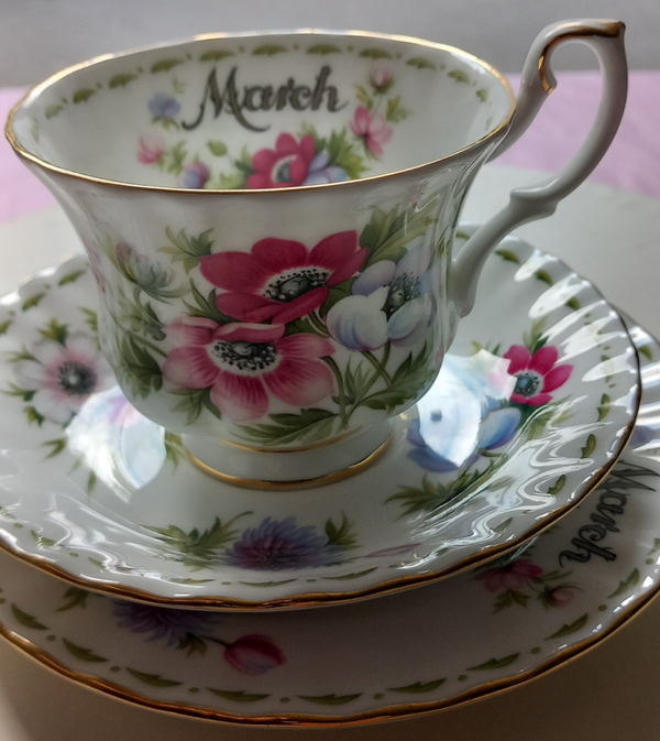 Flower of the Month Anemones Maart