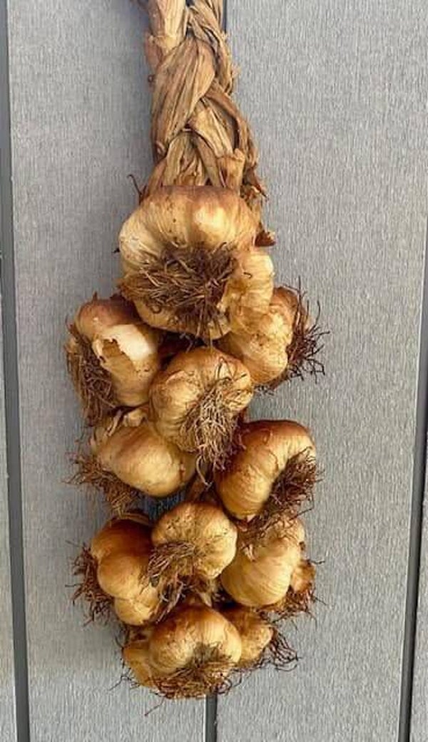 Gerookte knoflook streng