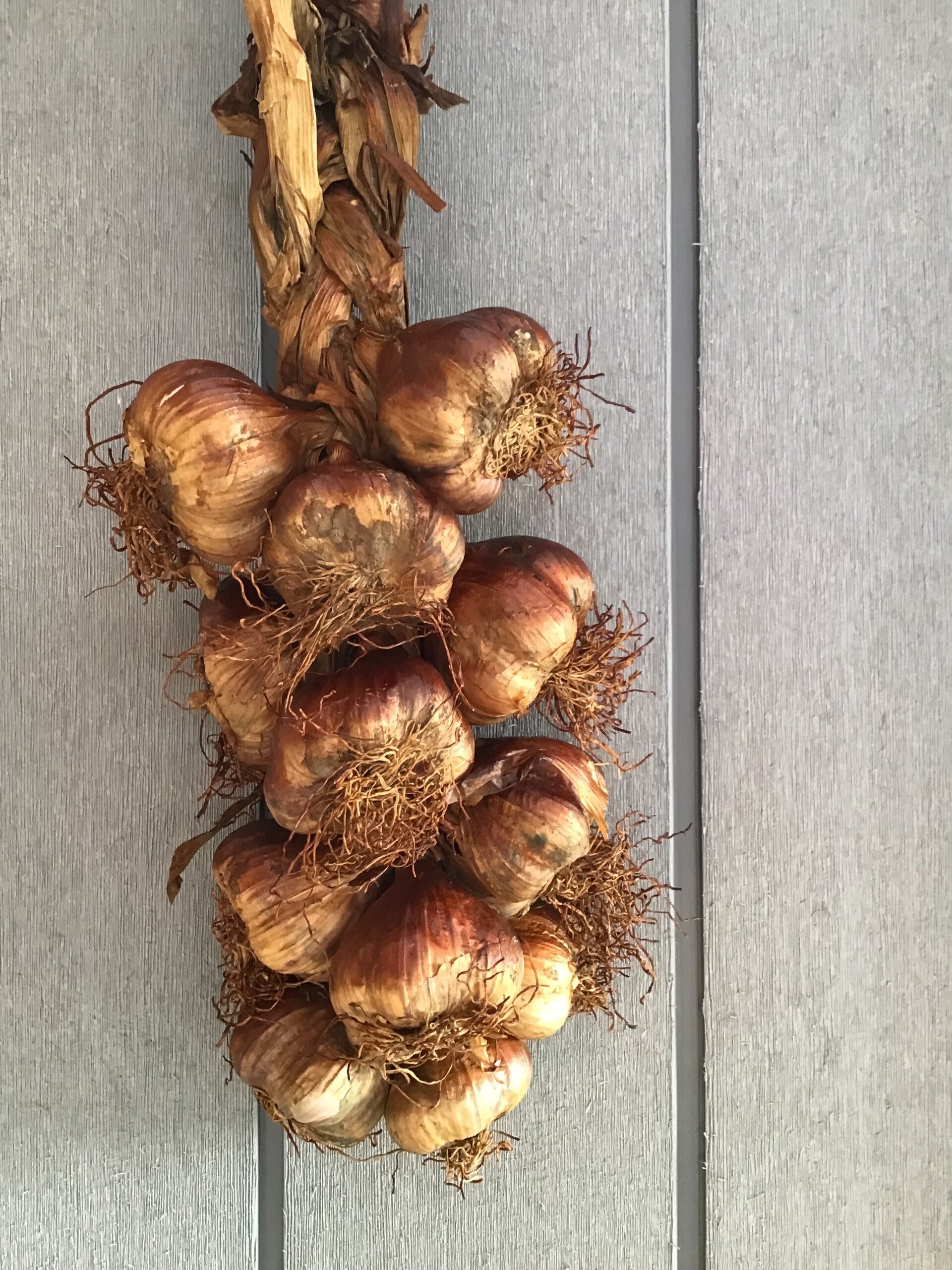 Gerookte knoflook streng
