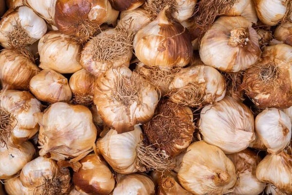 Gerookte knoflook , los per bol