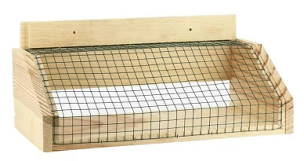 MUSELIERE FRELON ASIATIQUE