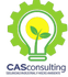 Casconsulting SSO