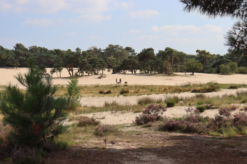De loonse en drunense Duinen