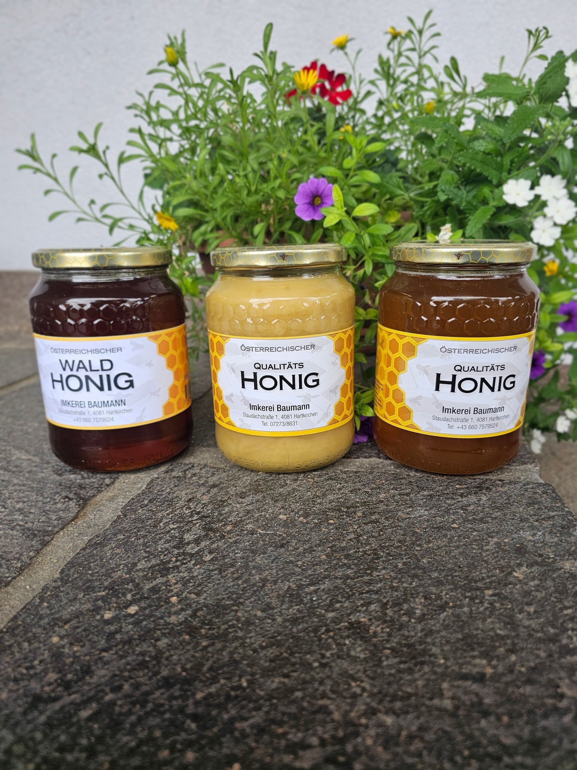 Verschiedene Honigsorten von Baumann Honig Hartkirchen