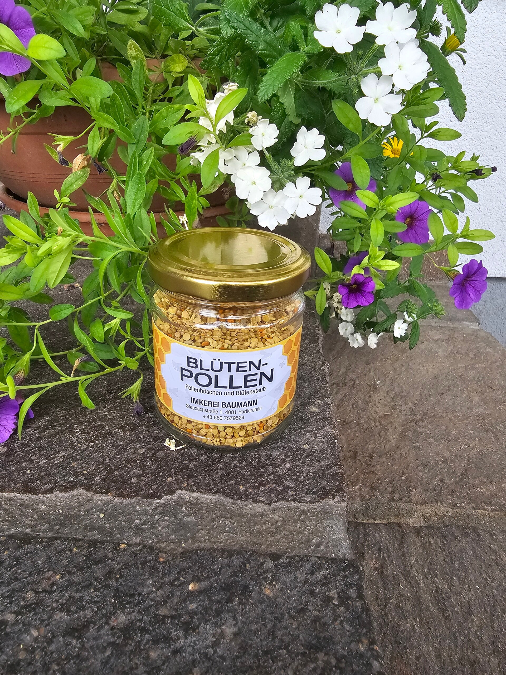 Blütenpollen