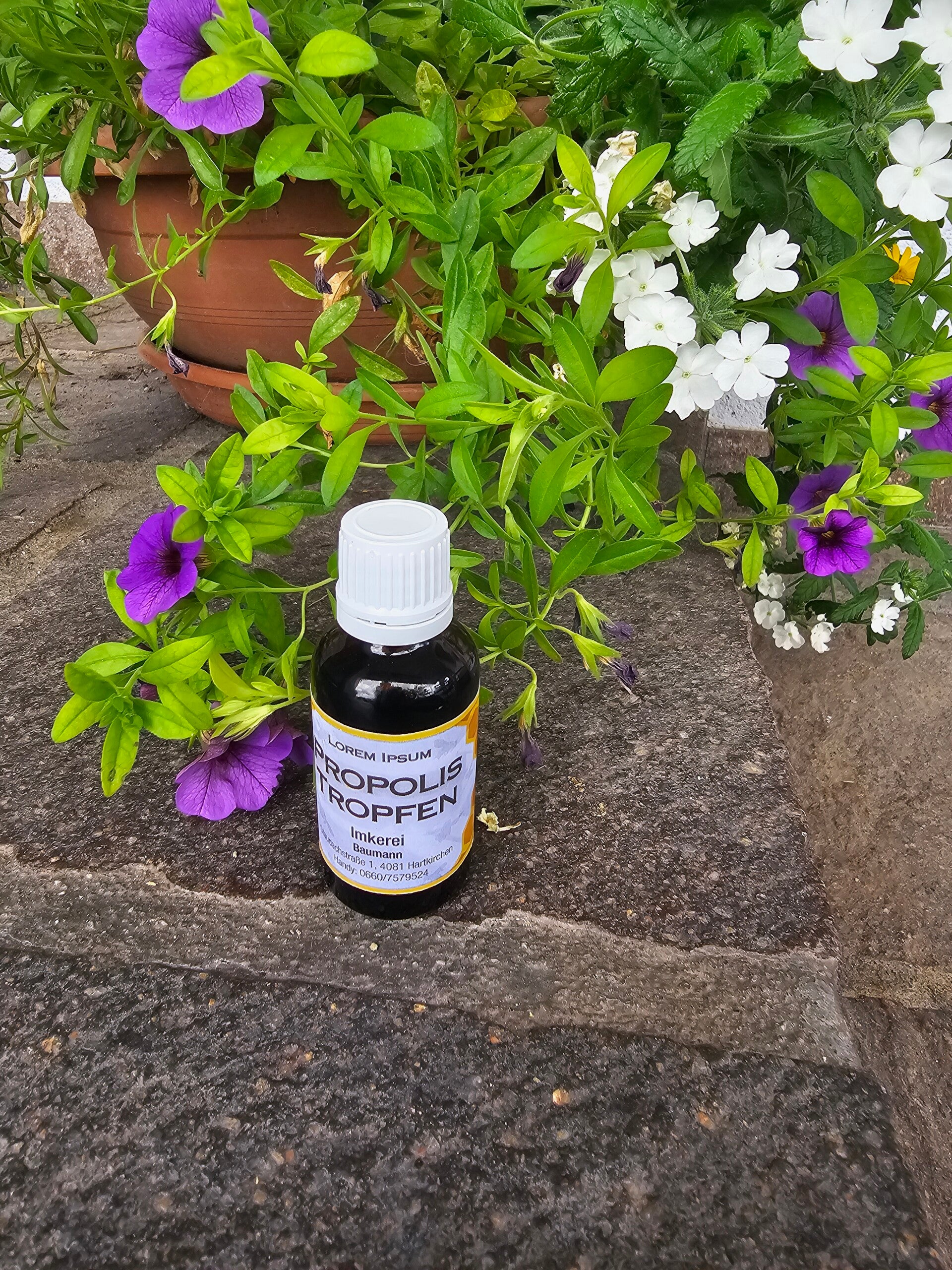 Propolis