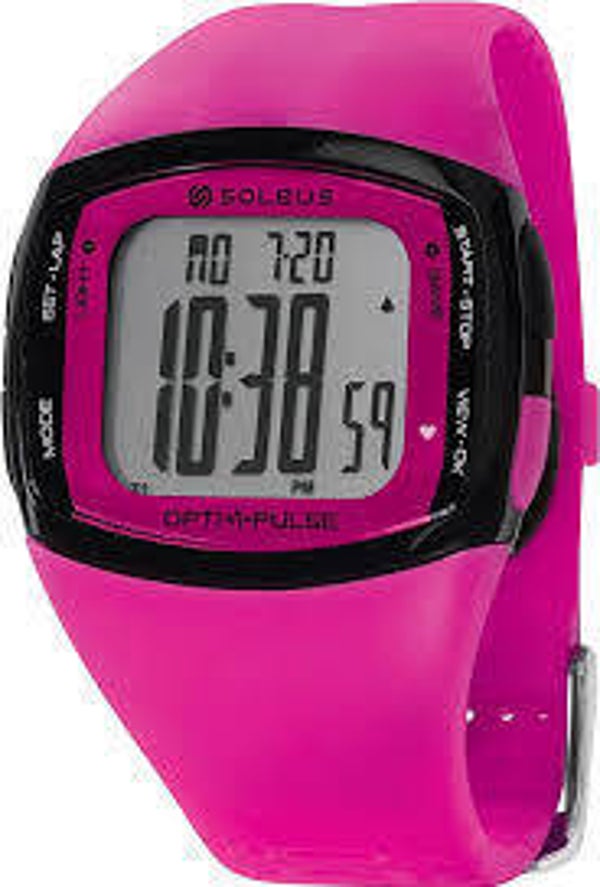 The Soleus Pulse Rhythm