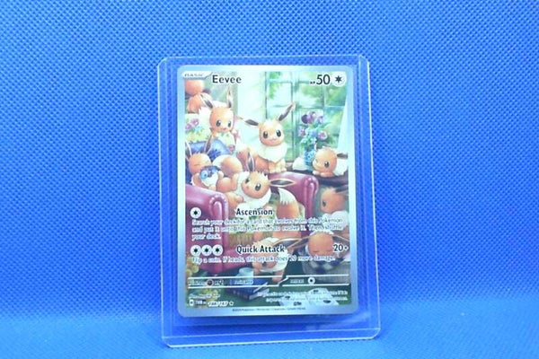 Eevee Illustration Rare