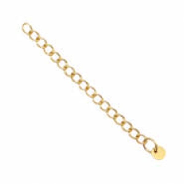 Gouden verlengstukje rvs (per stuk)