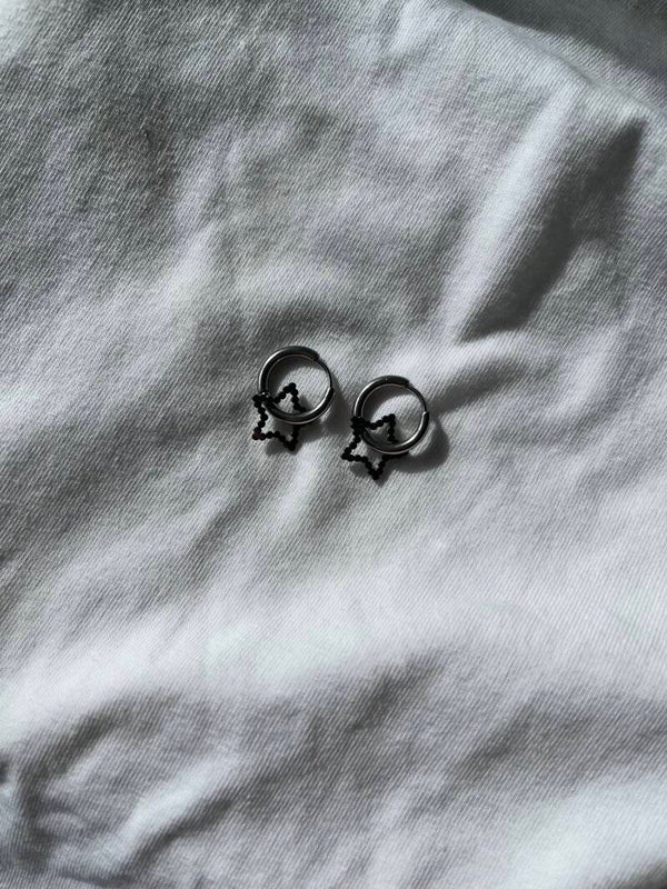 Ster oorbellen rvs zilver (per paar)
