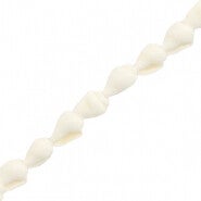 Trompetschelpjes (10 stuks)