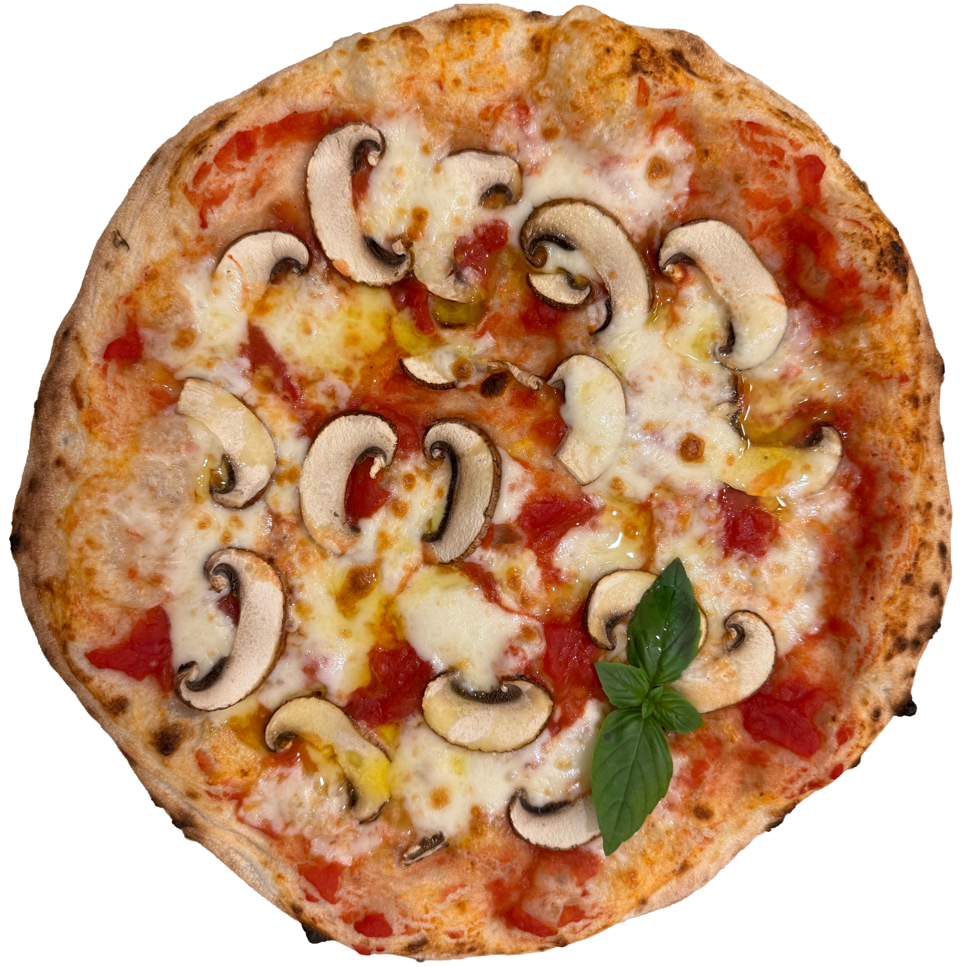 BOSCO BIANCO – Weißer Wald