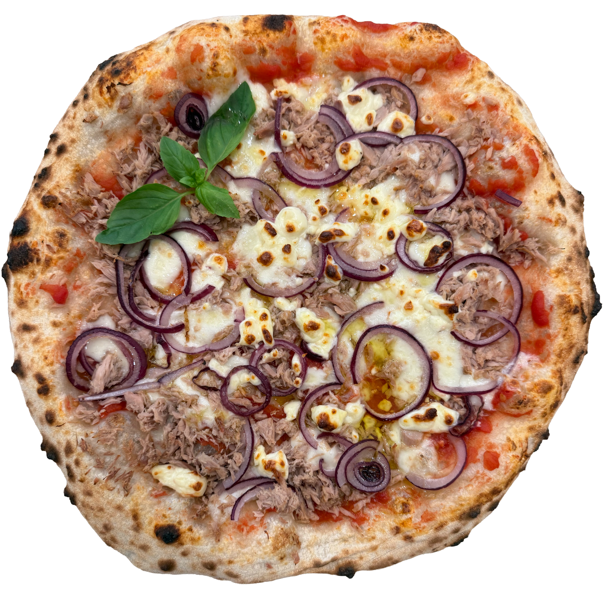 TONNO IMPERIALE - Kaiserlicher Thunfisch