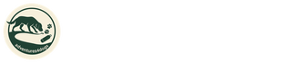 adventures4dogs