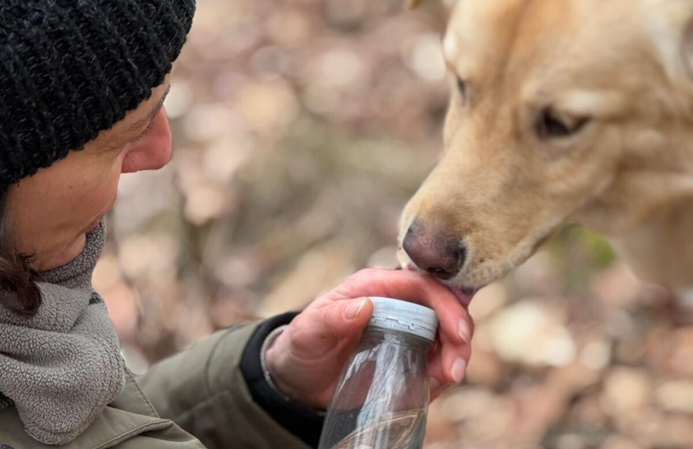 Mensch zeigt Hund den gesuchten Fund in Natur