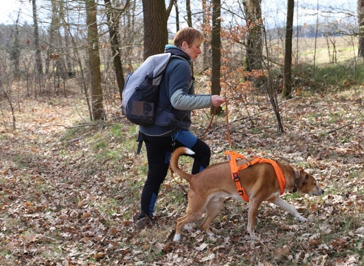 Frau und Hund gemeinsam auf der Suche