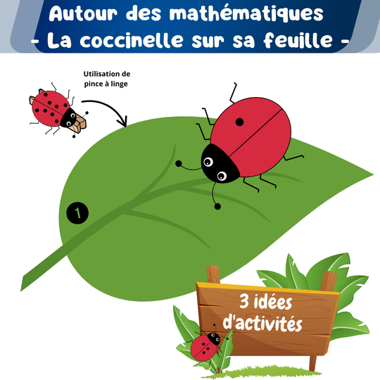 PDF : La coccinelle sur sa feuille