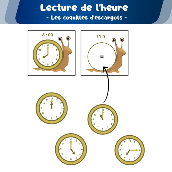 ⭐ PDF : Les coquilles d'escargots  (heure)