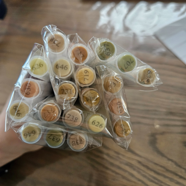 Setjes Lichte aarde tinten