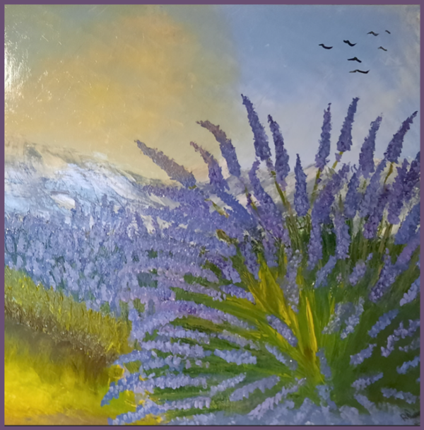 Focus sur la lavande