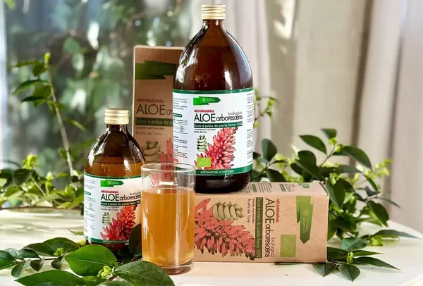 Aloë Arborescens - Om puur te drinken - Detox Zuiverend Immuniteit Boost Voedingssupplement - 100% BIO