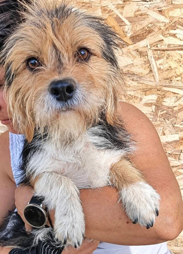 SAM