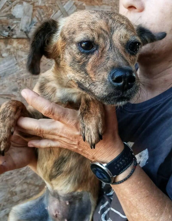 TINA