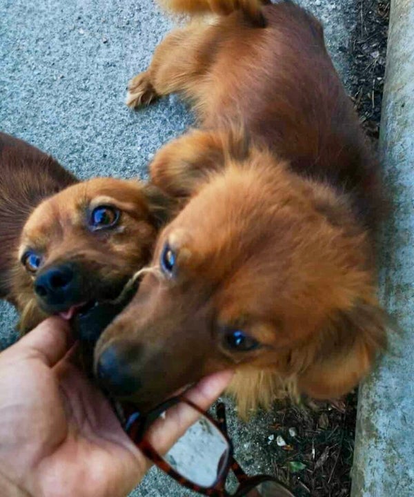 BONNIE & CLYDE