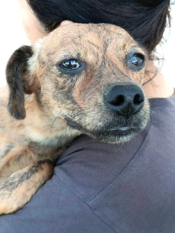 TINA