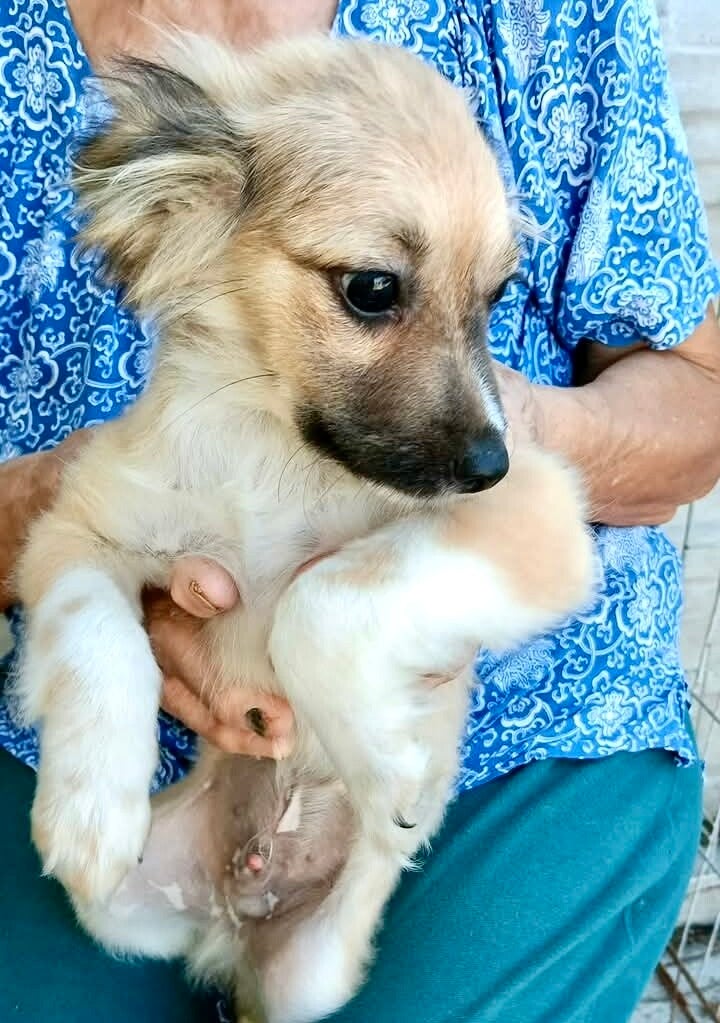 TILOU