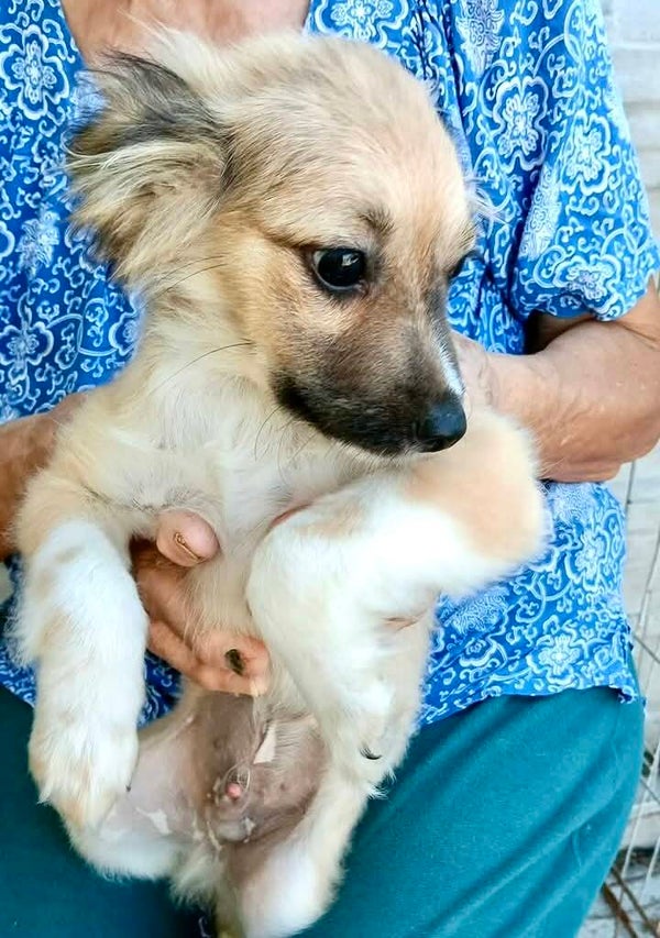 TILOU